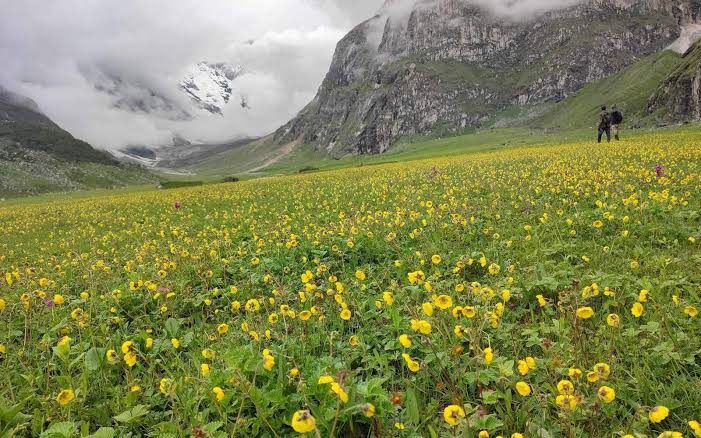 Api Himal Base Camp Trek: Route, Difficulty & Season Guide photo 1