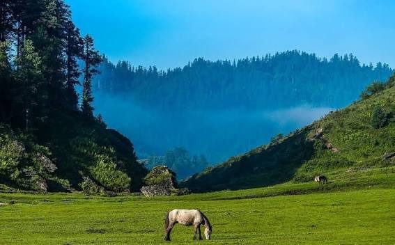 Khaptad National Park: Nepal’s Quiet Meadow Trek photo 2